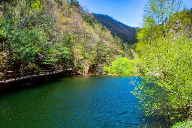 洛阳栾川天河大峡谷,投资5亿元打造的景区,堪称中原的避暑天堂