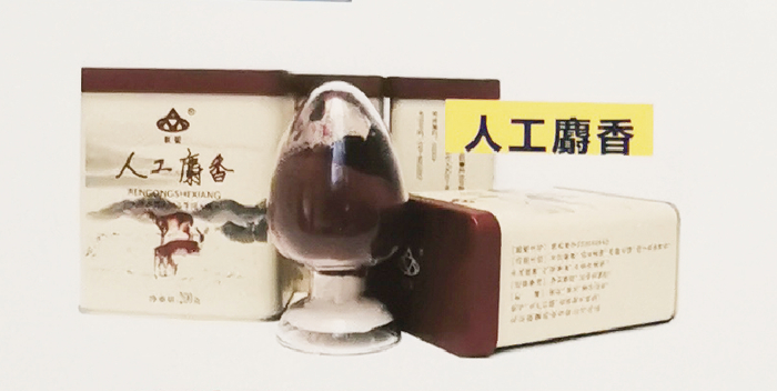 科技日报记者 付丽丽摄