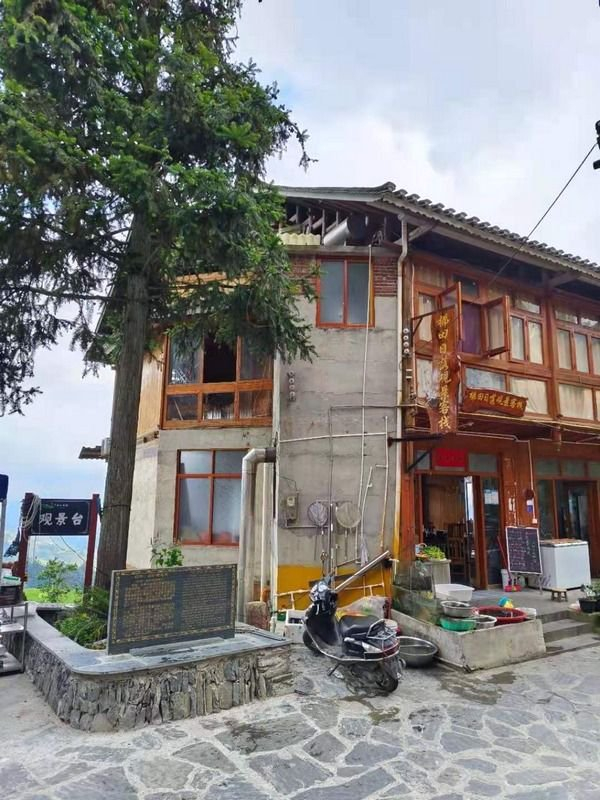 贵州黎平三举措为895株古树名木大树护航