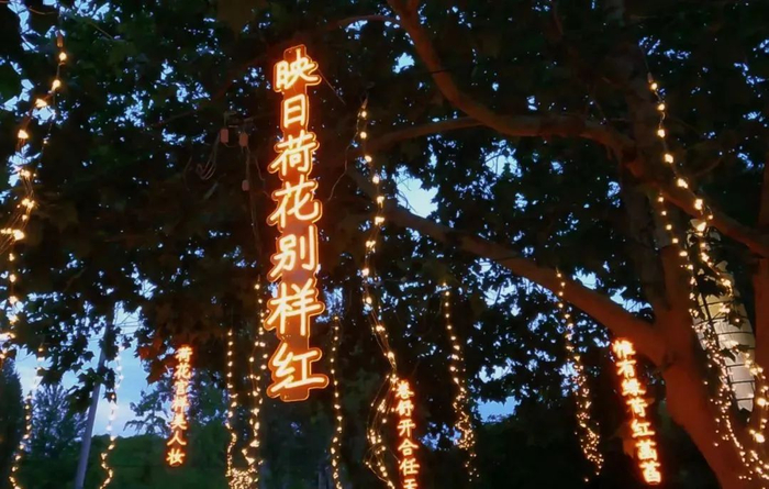 图片来源：顺义区园林绿化服务中心微信公众号