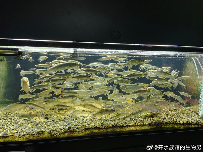 为新馆做准备……