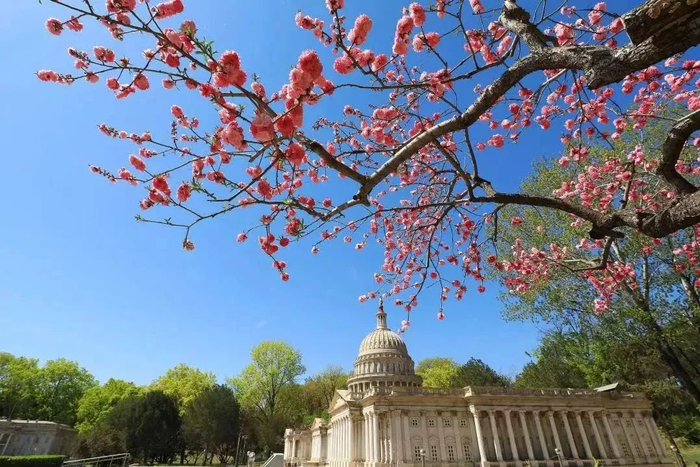 图片来源：北京世界公园微信公众号