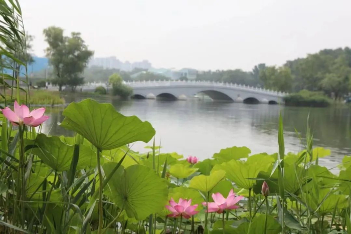 图片来源：北京朝阳公园微信公众号