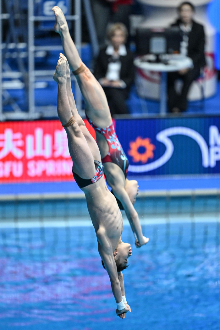 跳水——混双10米台:王飞龙/张家齐夺冠