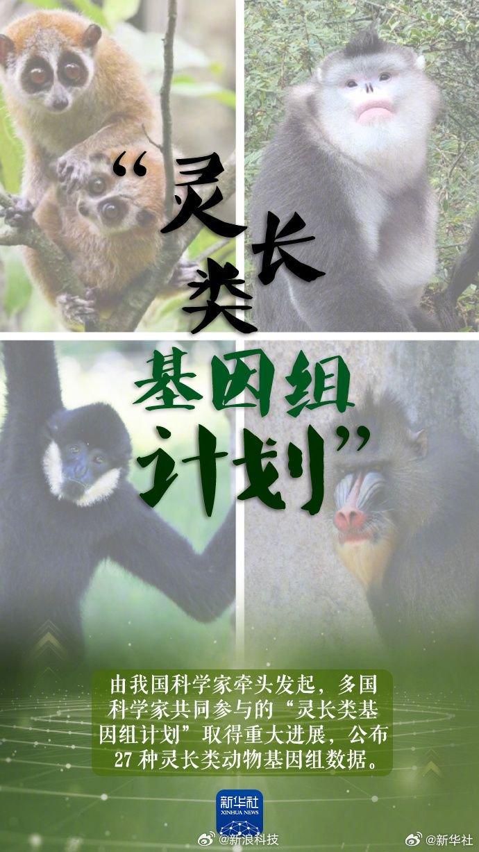 澡堂偷窥防御全攻略:从符咒文化到现代科技