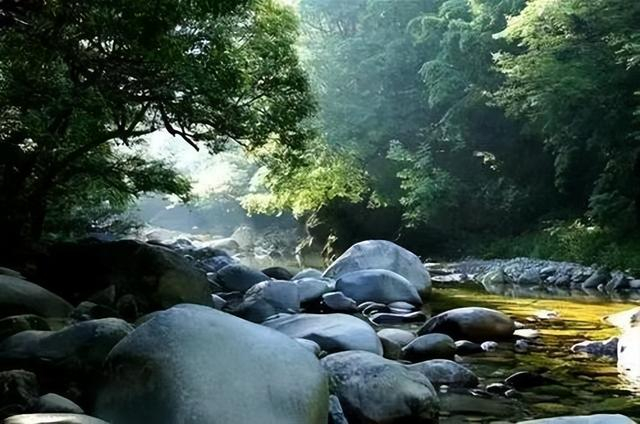 陕西长青国家级自然保护区获"世界最佳自然保护地"称号