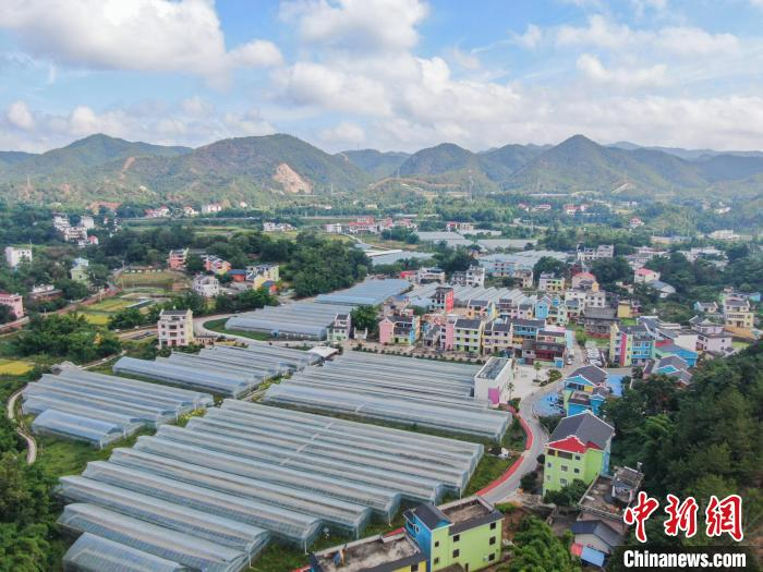 赣州生态 修复 乡村振兴相关图片2