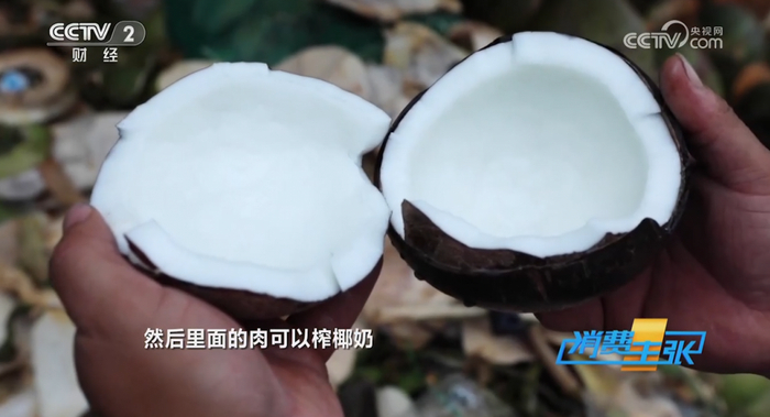 青椰、椰青、椰宝、椰子蛋都是啥?一次给你整明白|椰子|椰肉_新浪新闻