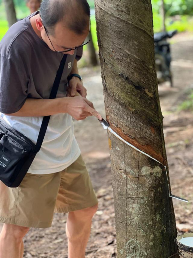 【兴业期货产业行】西双版纳的橡胶故事__财经头条