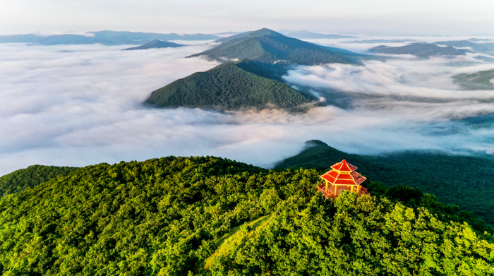 【黑龙江省夏季避暑旅游百日行动】森林湿地,漫步休闲,黑龙江饶河旅游