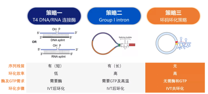 全球环状RNA技术,哪些企业在领跑?__财经头条__新浪财经