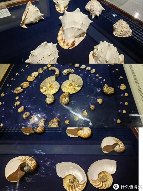 城市分站数据库