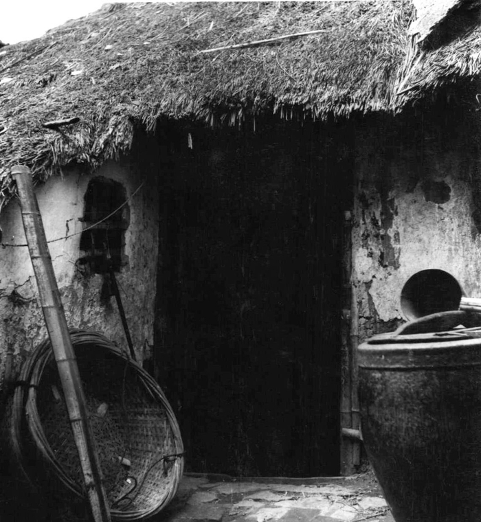 1950年代的蕃瓜弄，矮平房用芦席和稻草盖顶。