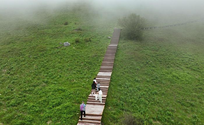 紫柏山地图图片