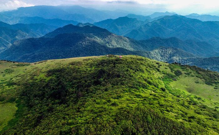 陕西留坝紫柏山草甸醉游人