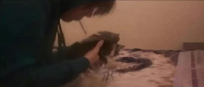 《猫不可杀不可辱：网络杀手大搜捕》剧照