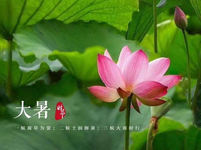       来源网络     