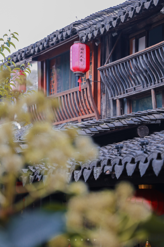 烟雨的江南,梦幻的水乡,水墨色的砖瓦,朦胧的古宅