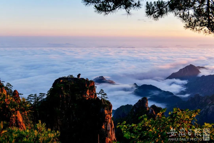黄山胜景。水从泽 摄