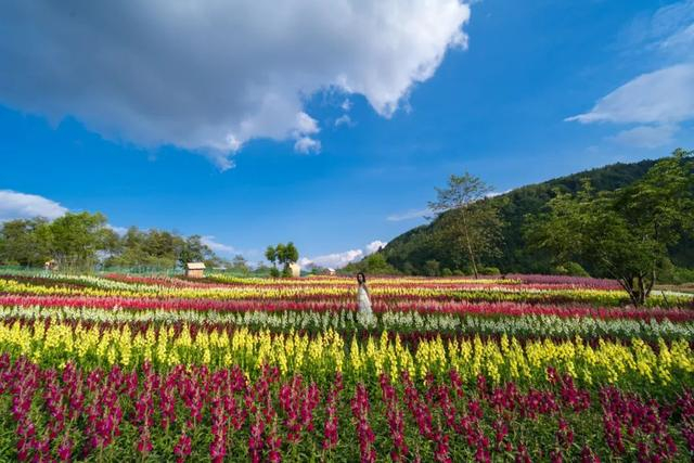 腾冲归云庄夏天就该这么惬意