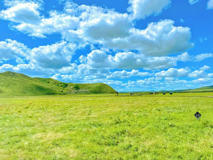草原森林大海东北全景游带您体验凉爽的夏天
