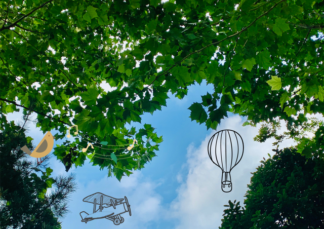 画面极度舒适! 这才是济宁的夏天!