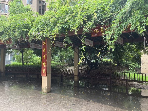 徐州云龙大郭庄街道红物业暖万家提升基层社会治理效能