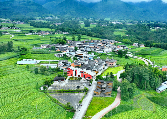 界头镇小抄纸撑起乡村振兴致富路