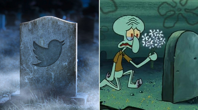 伊隆-马斯克|推特_新浪新闻