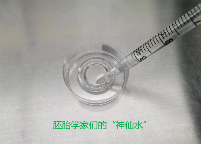 图片由作者提供