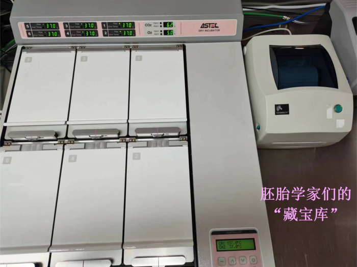 图片由作者提供