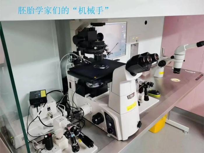 图片由作者提供