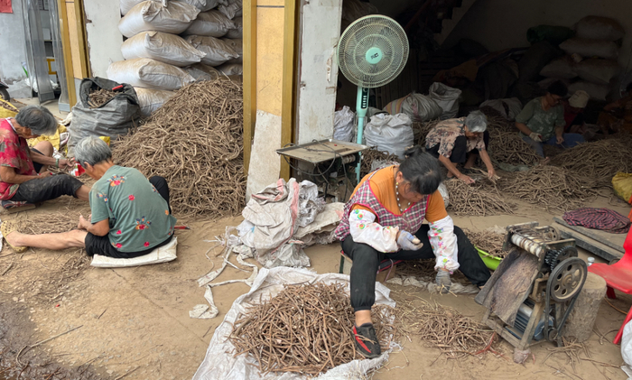 丹皮粗加工现场