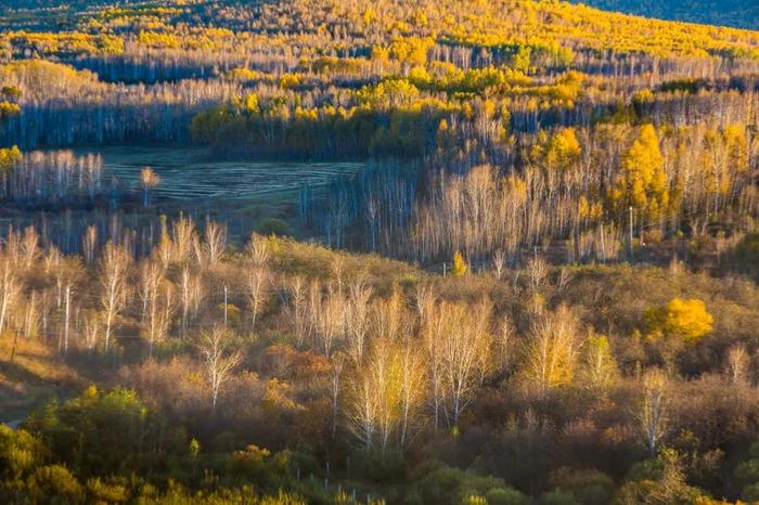 美国国家森林公园排名图片
