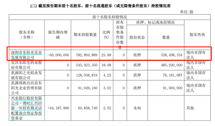 东阳光前十名股东 来源：2022年财报