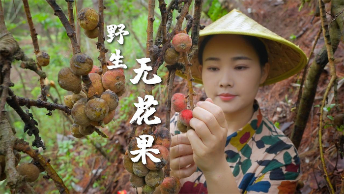 云南深山里这种叫"zha ou"的野无花果,你们吃过吗?