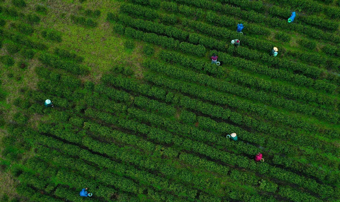 ▲摄影｜江西日报全媒体记者洪子波 张翰林