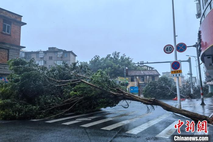 直击强台风杜苏芮登陆地风雨肆虐一地狼藉