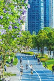 市民积极参与健身运动。