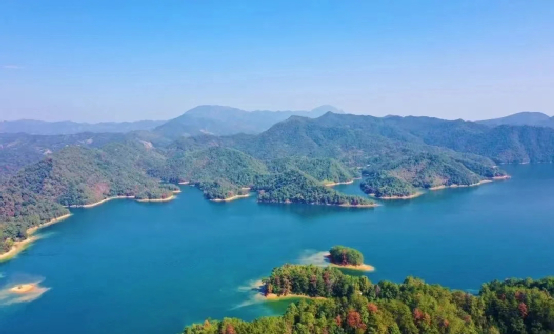 江西上犹:拥抱大湾区 奋力争"上游"|上犹|阳明湖|上犹县_新浪新闻