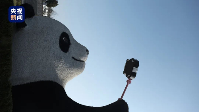 △都江堰水文化广场的“自拍熊猫”