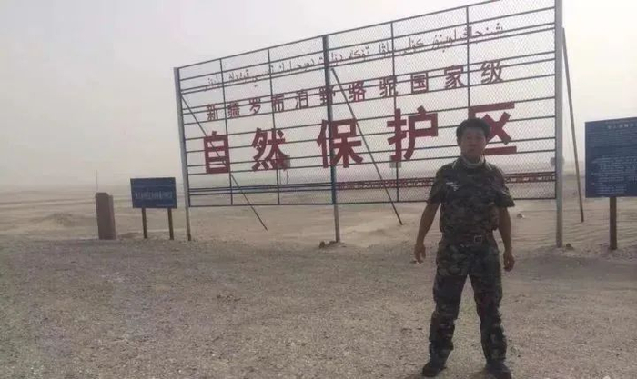 新疆罗布泊野骆驼国家级自然保护区。图源橙市互动