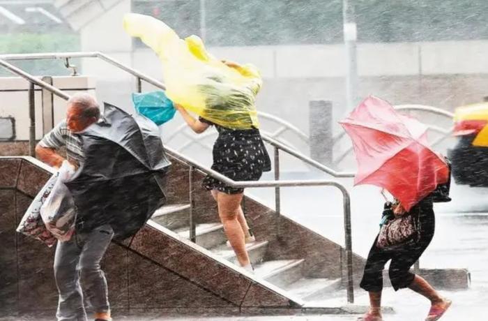 风雨扫荡图片