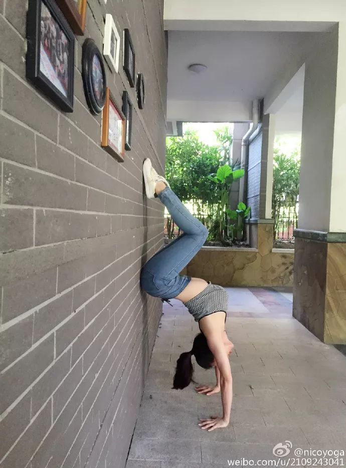 刘强东|蒋聘婷_新浪新闻