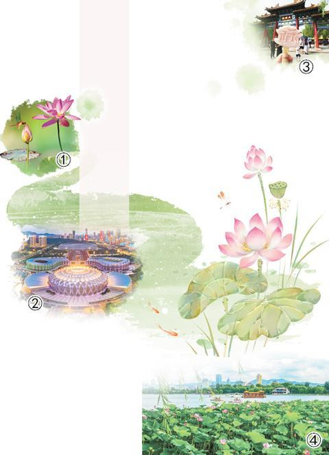 图①：蜻蜓落在含苞待放的荷花上。