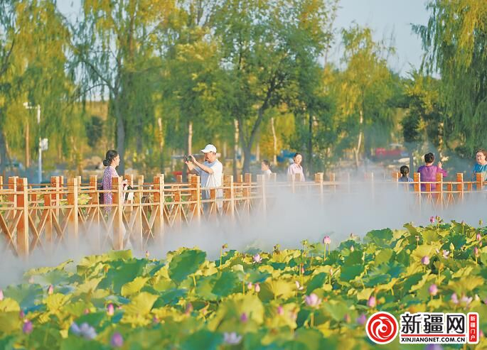 7月28日傍晚，游客们在荷花池中央的木栈道上，与盛开的荷花拍照留念。（全媒体记者李凯摄）