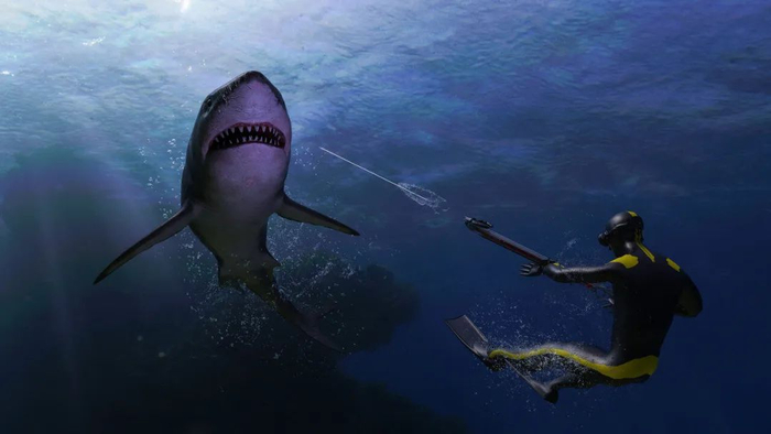 图库版权图片，转载使用可能引发版权纠纷