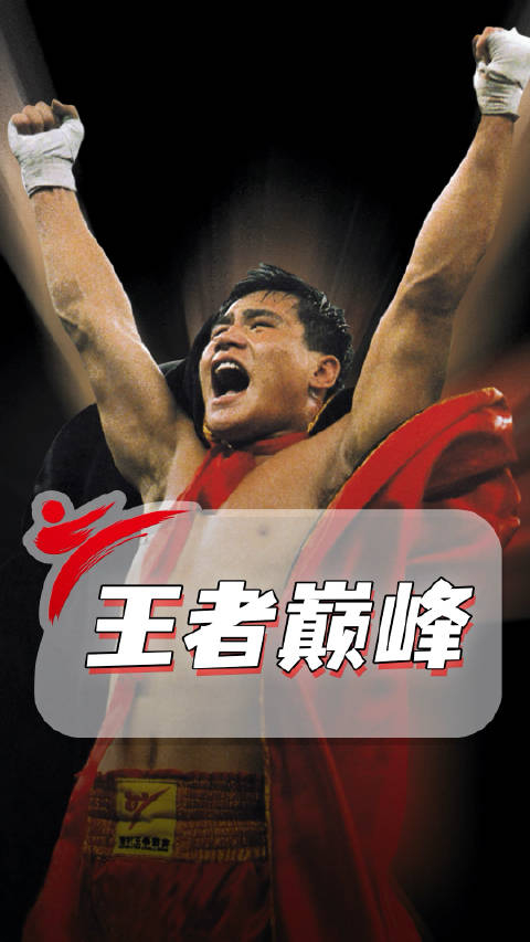 超级散打王柳海龙