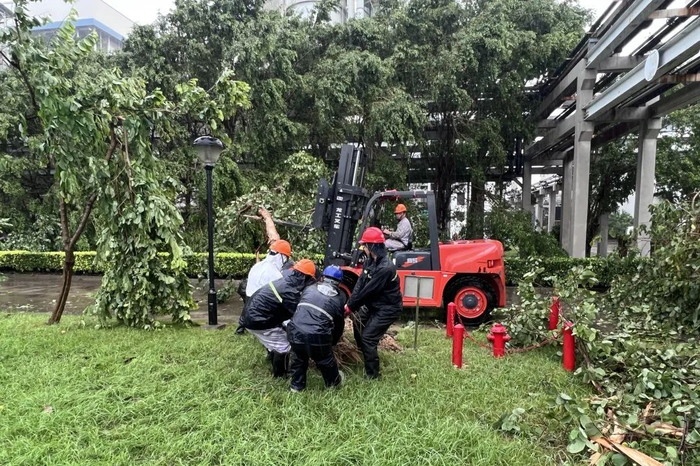 图为科环龙源泉州公司抢险小组清理生产区域