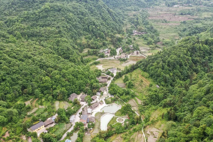 南川区德隆镇银杏村杨家沟全貌。市住房城乡建委供图
